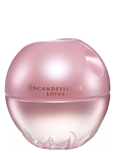 Incandessence - Lotus